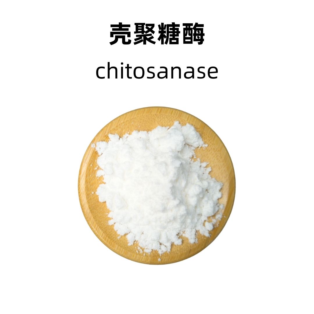 Chitosanase