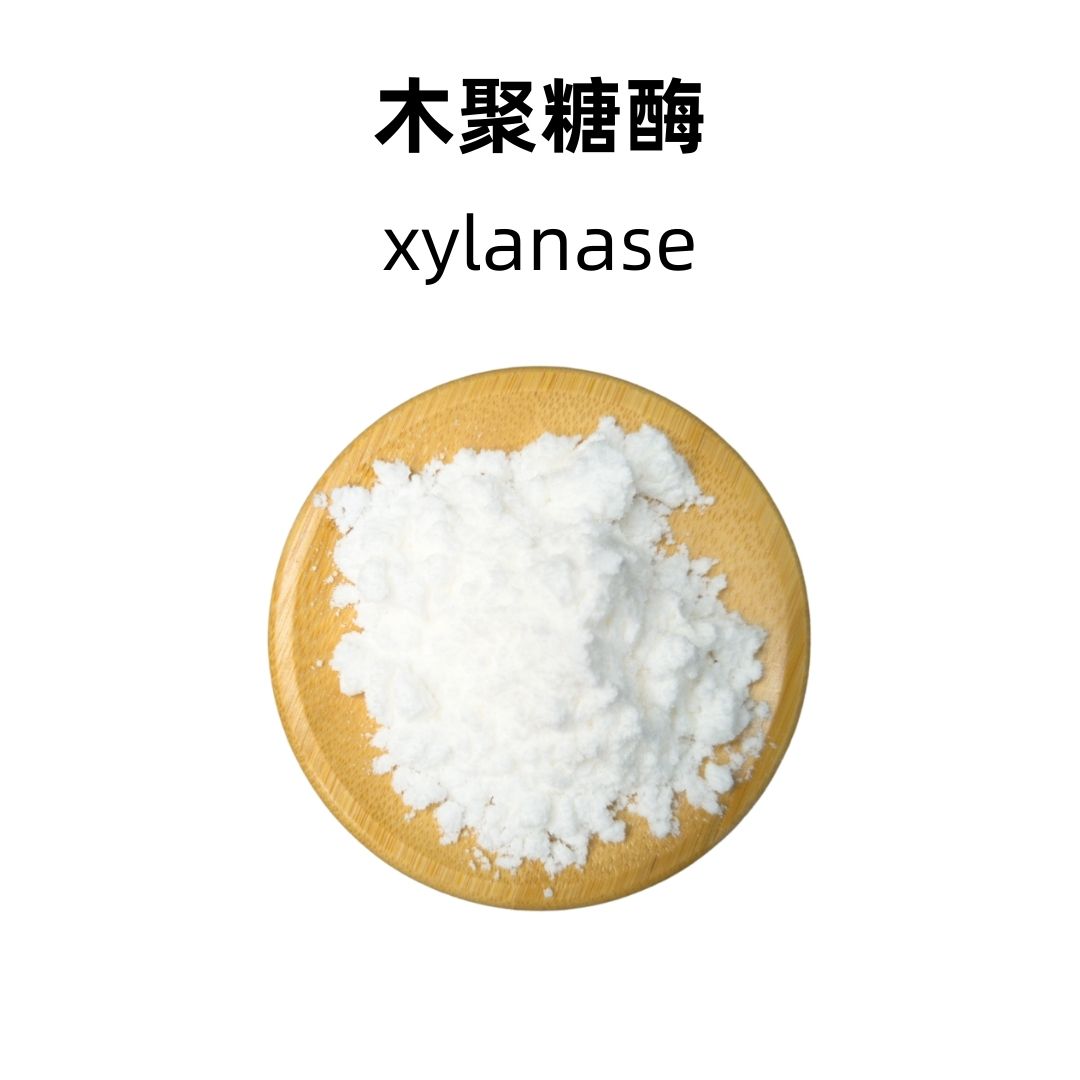 Xylanase