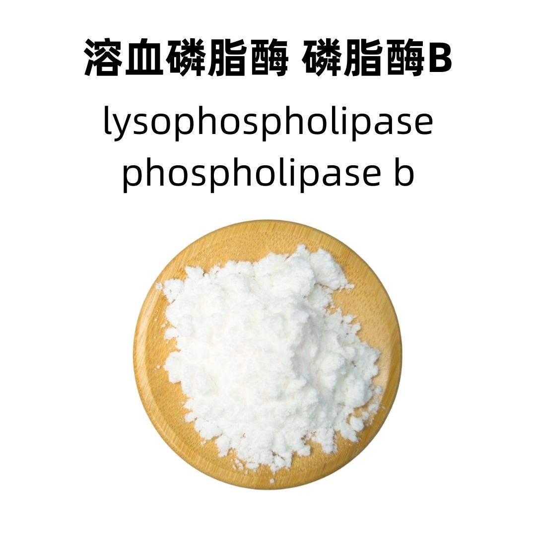Lysophospholipase