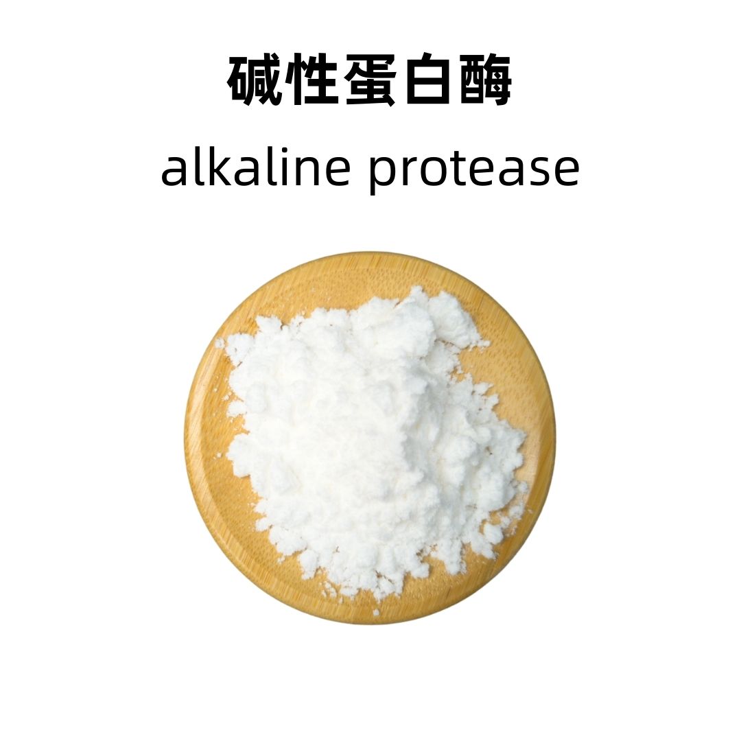 Alkaline Protease