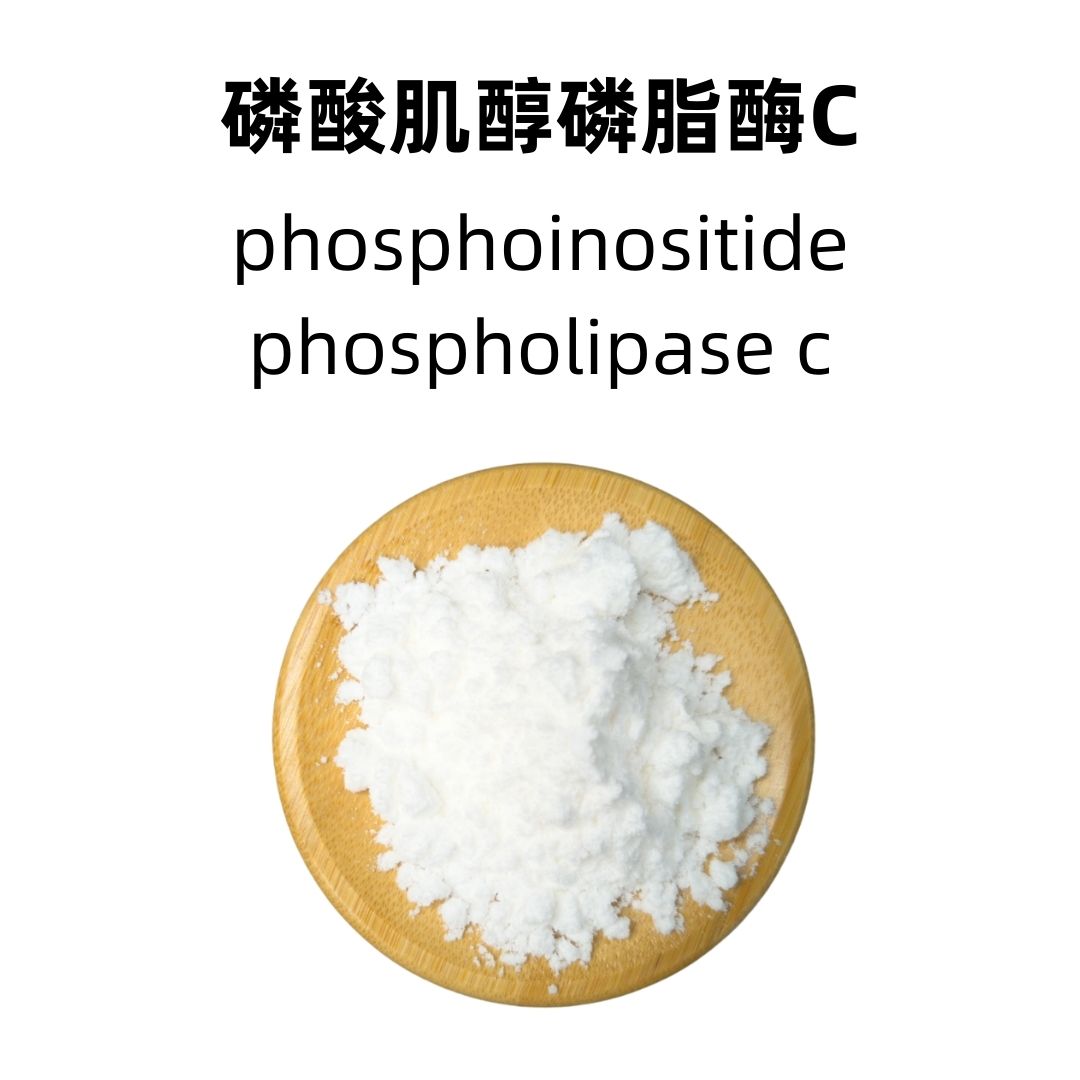 Phospholipase C
