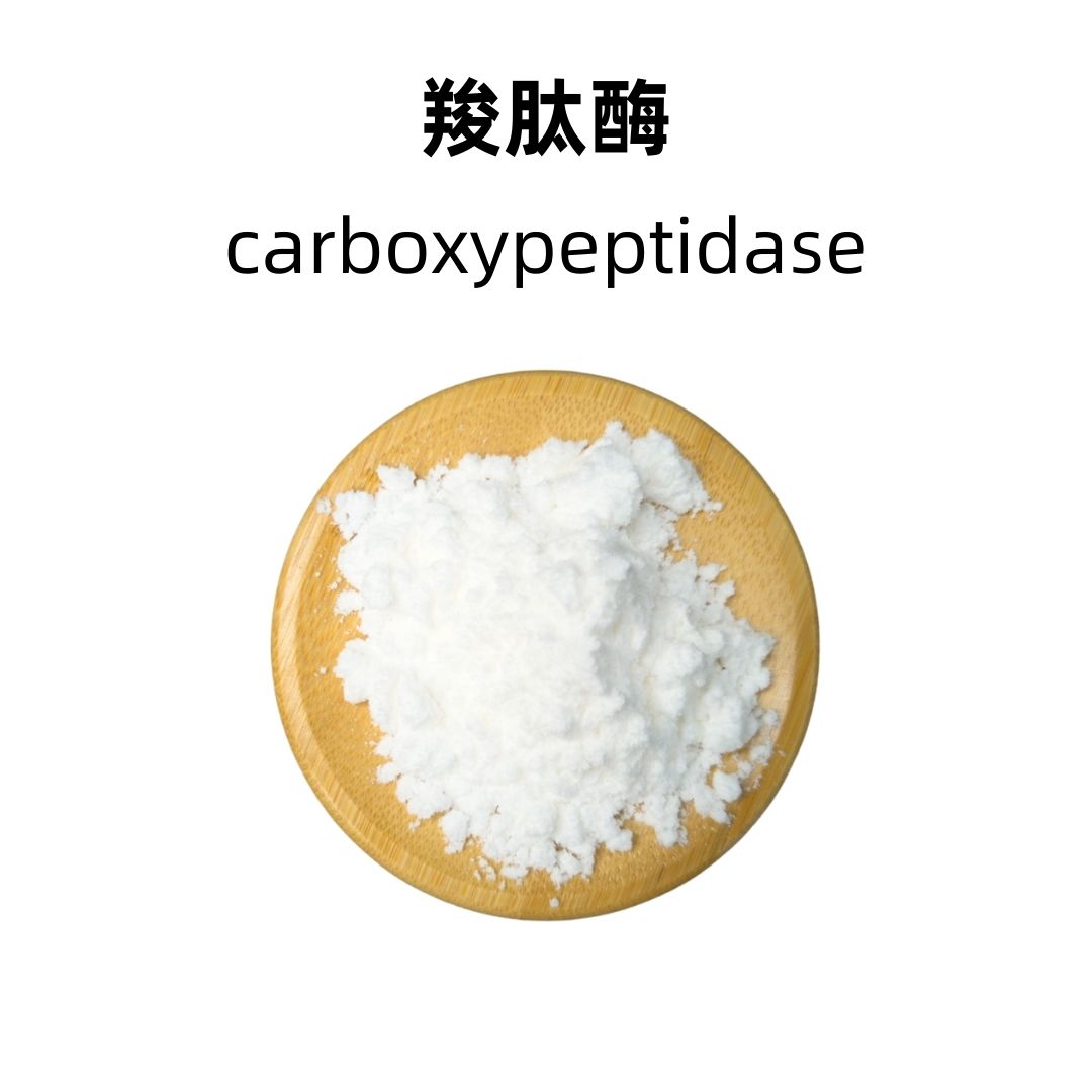 Carboxypeptidase B