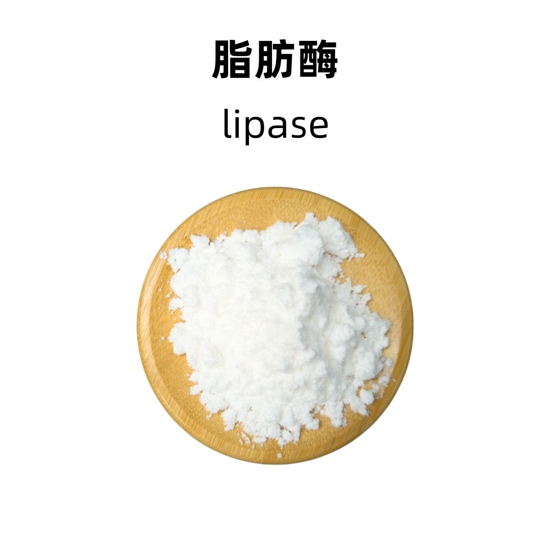 Lipase
