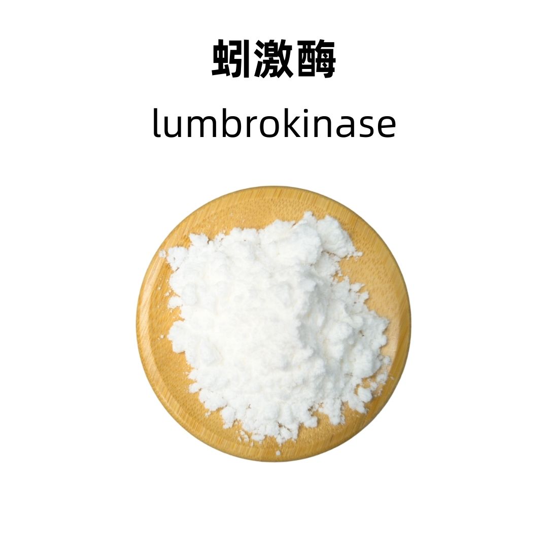 Lumbrokinase
