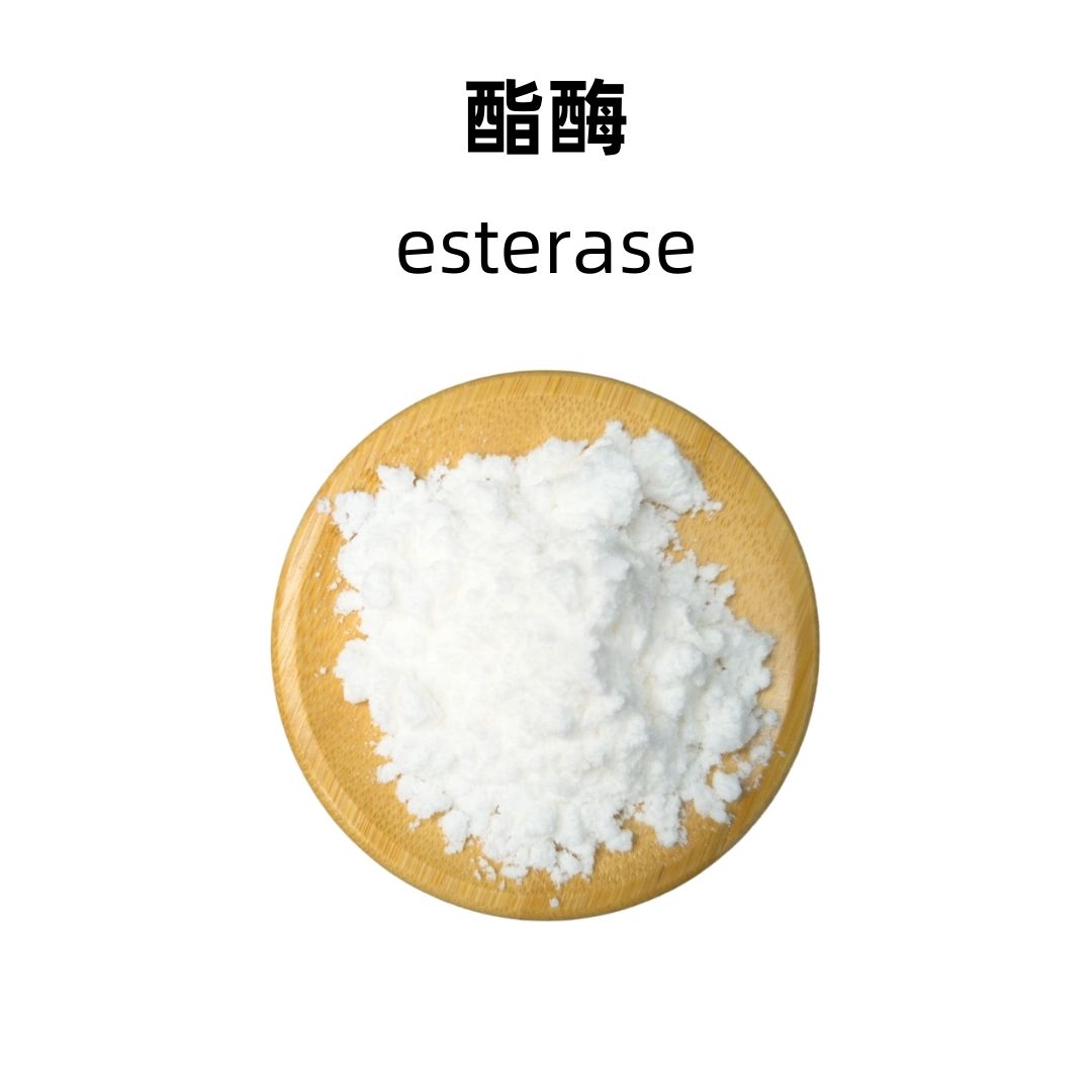 Esterase