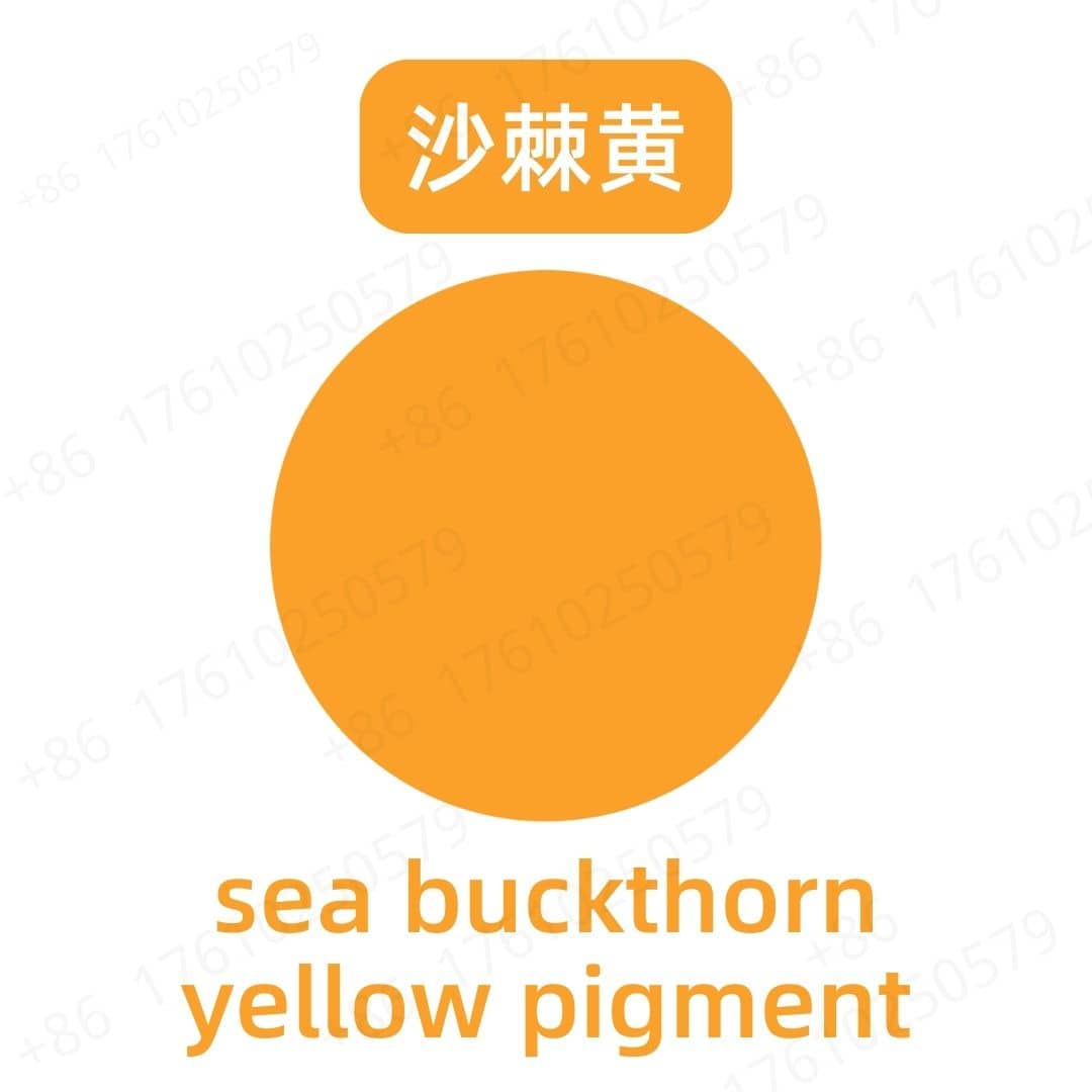 Sea Buckthorn Yellow Pigment