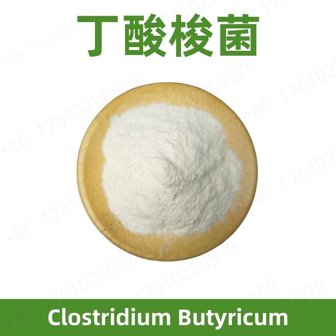 Clostridium butyricum