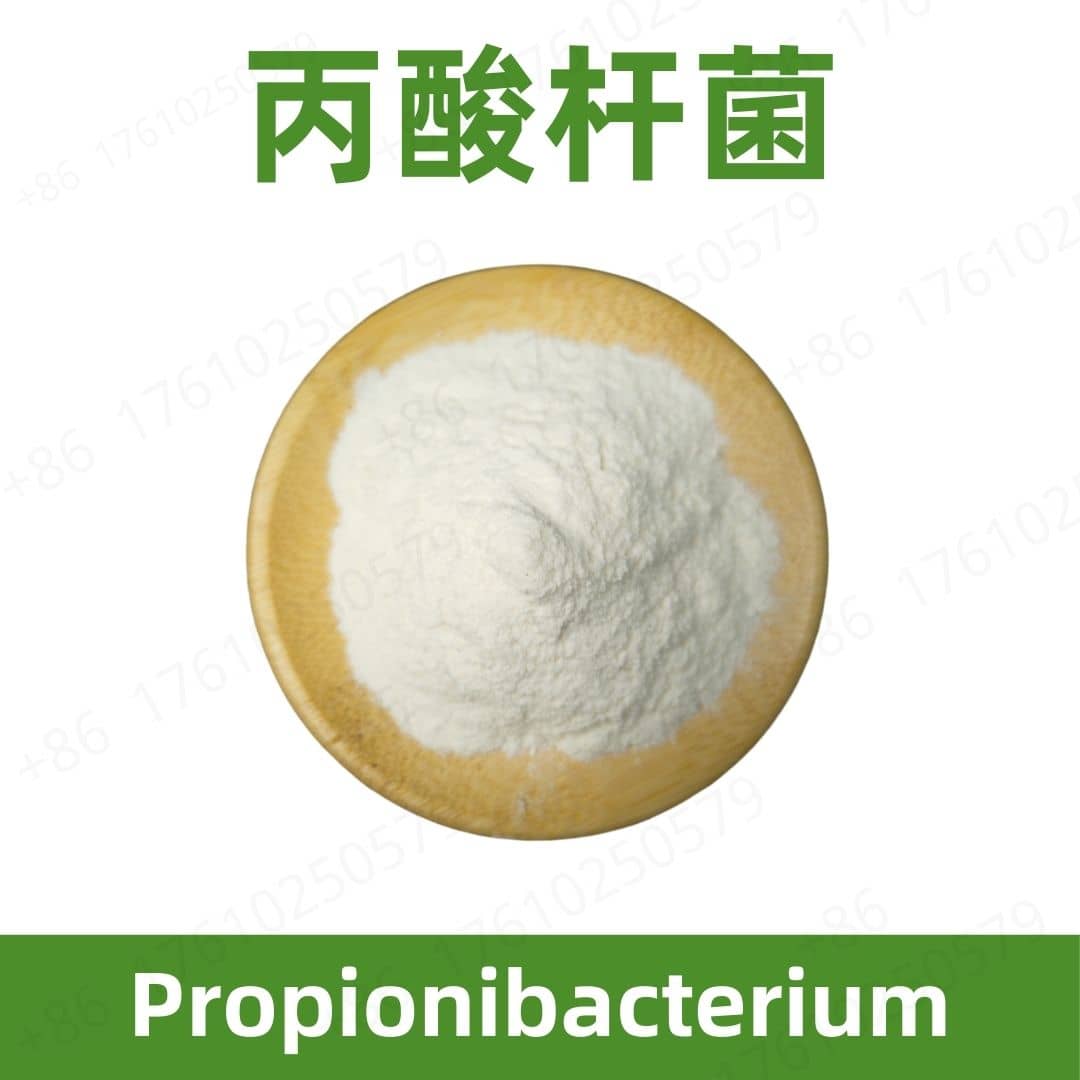 Propionibacterium