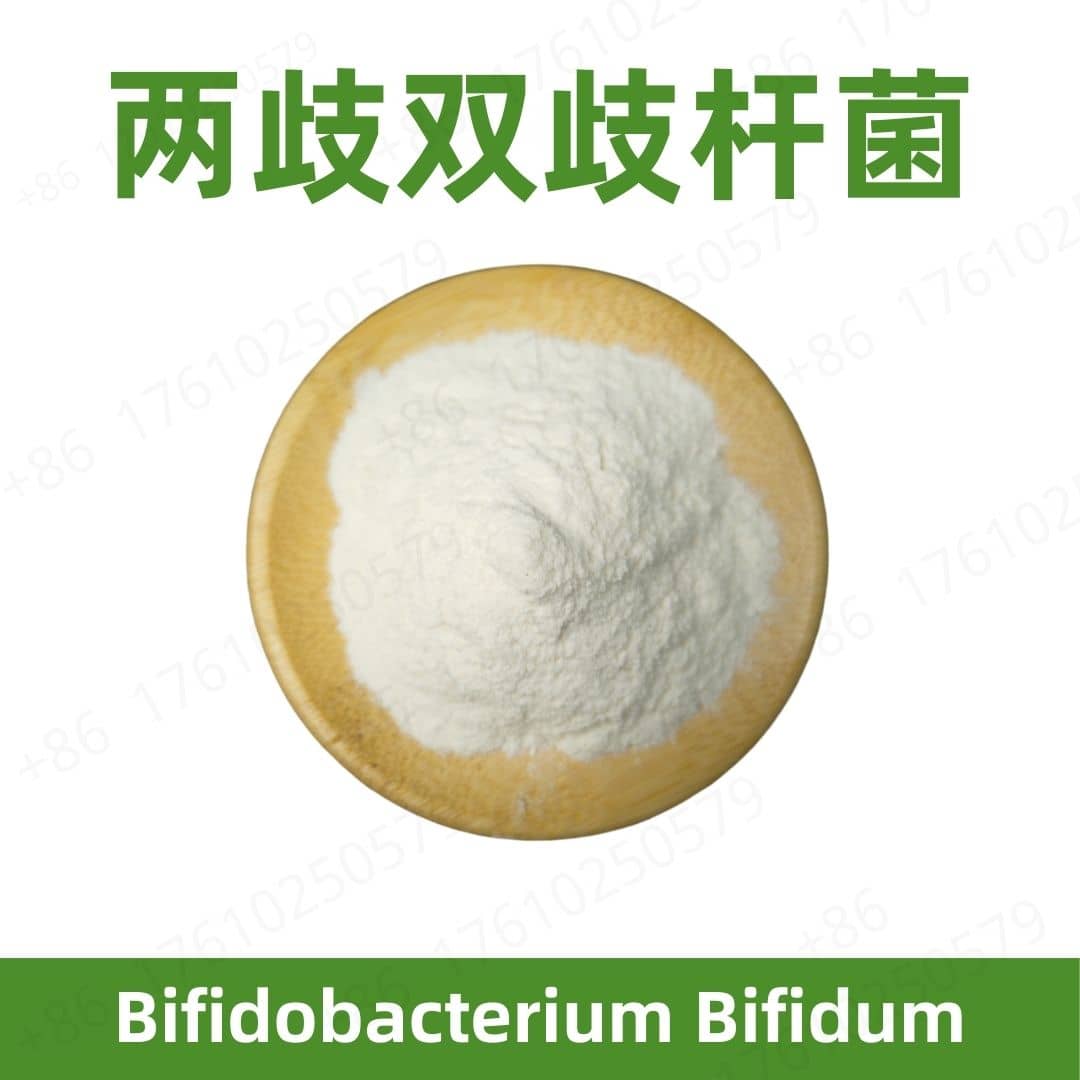 Bifidobacterium Bifidum