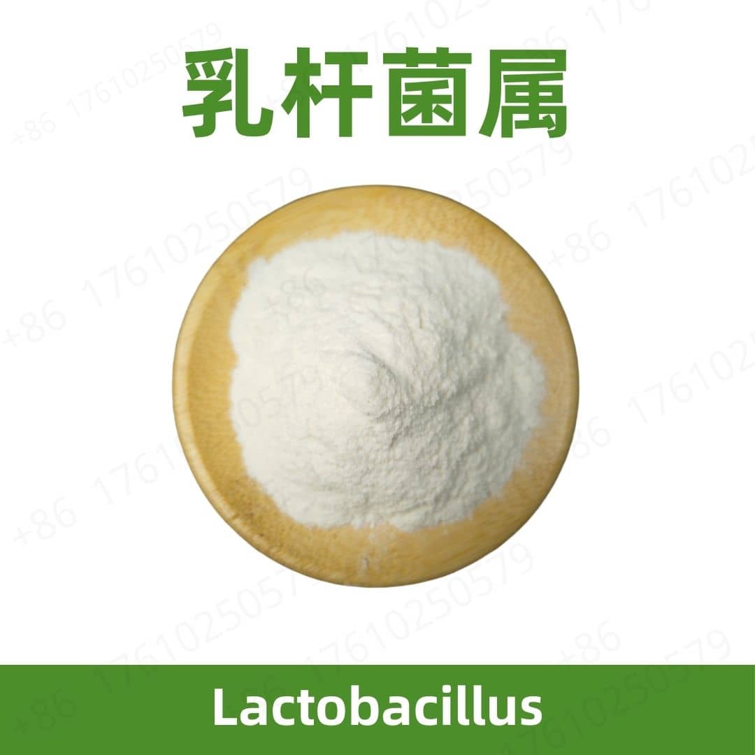 Lactobacillus helveticus