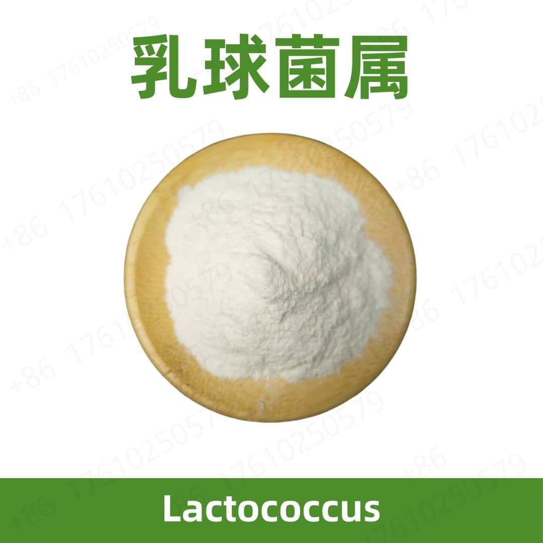 Lactococcus