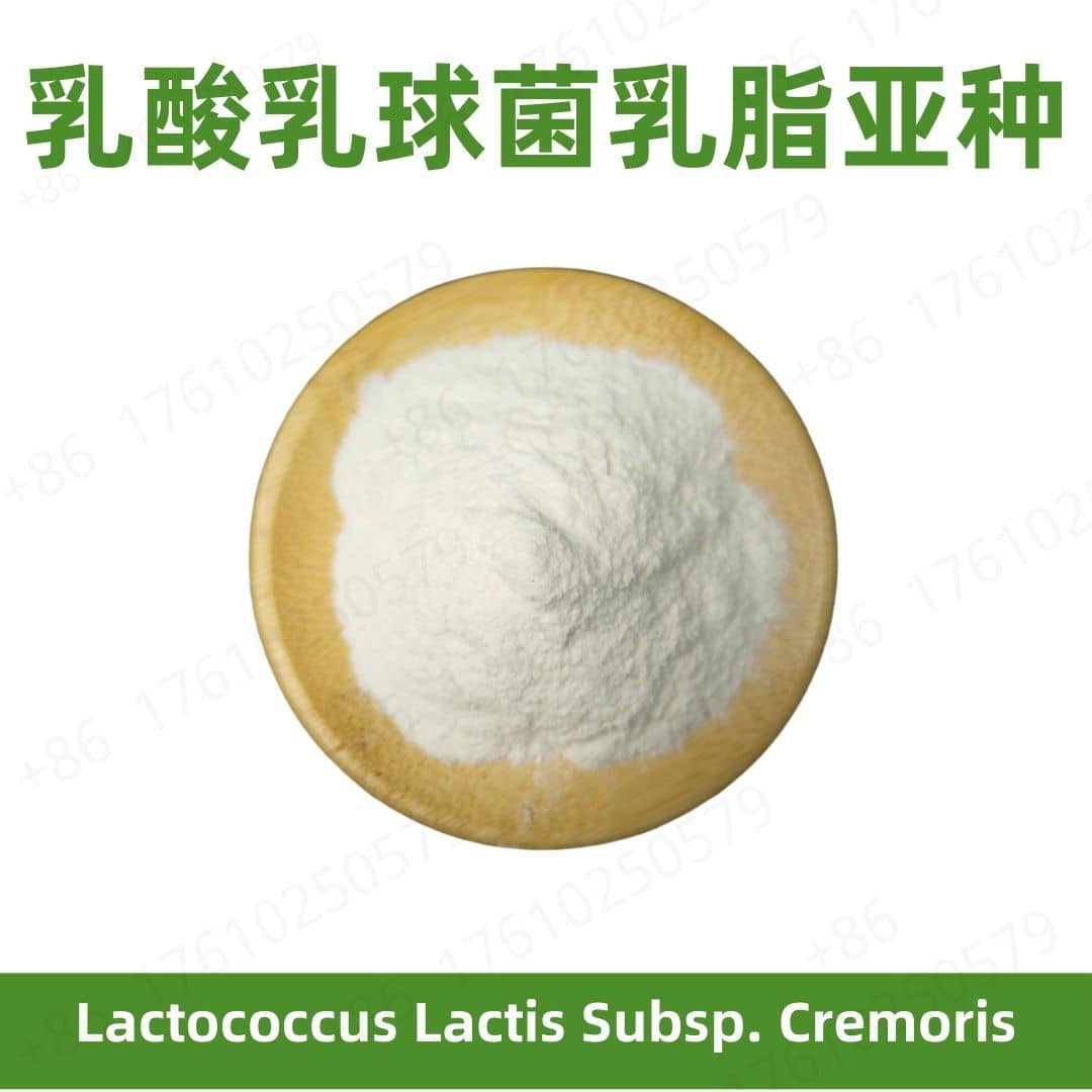 Lactococcus lactis subsp. cremoris
