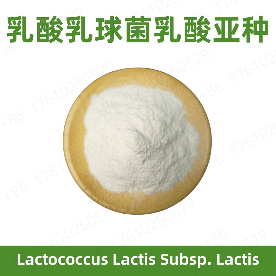 Lactococcus lactis subsp. lactis