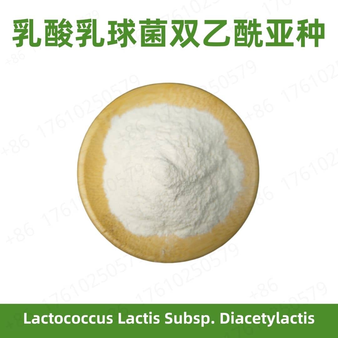 Lactococcus lactis subsp. diacetylactis