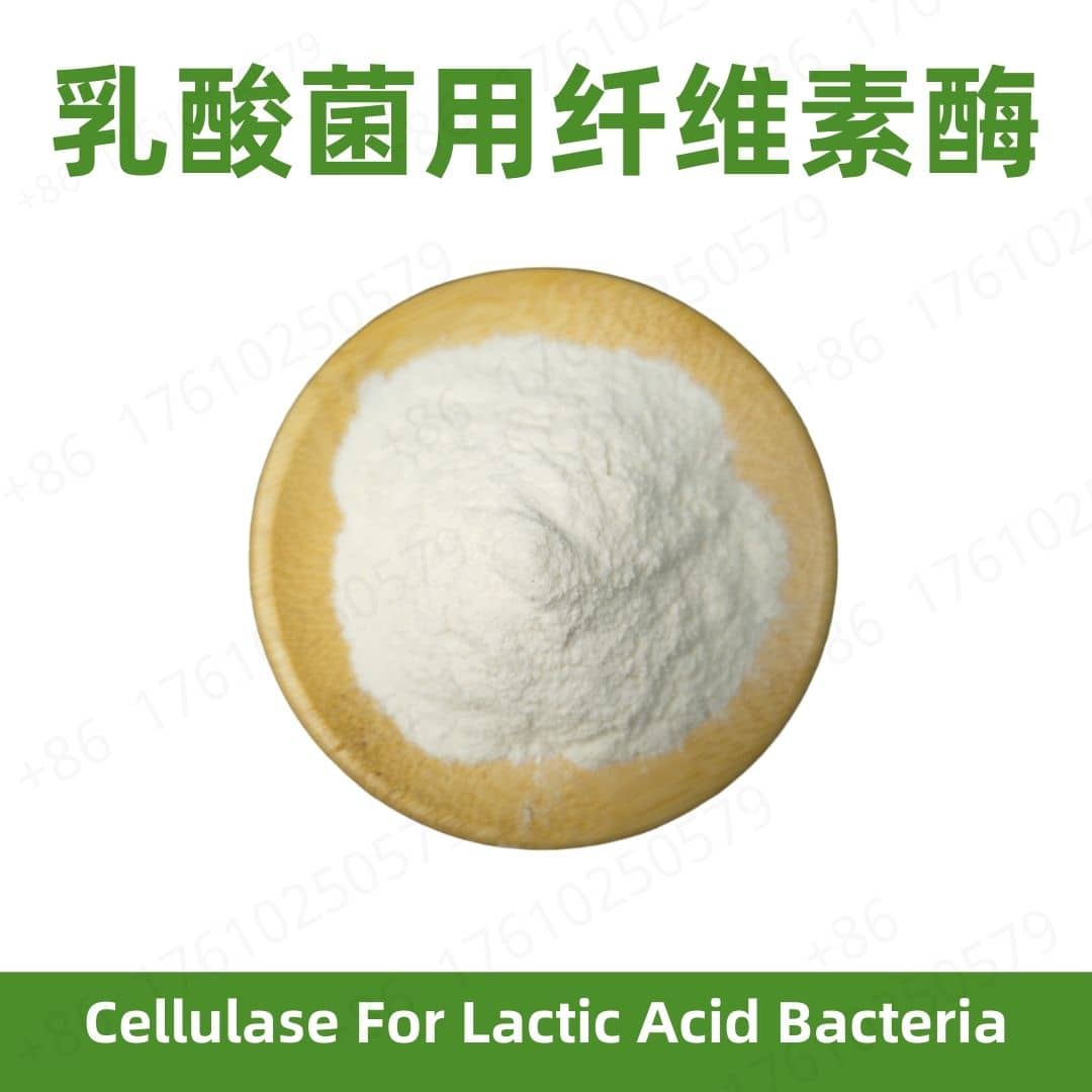 Cellulase for Lactic Acid Bacteria