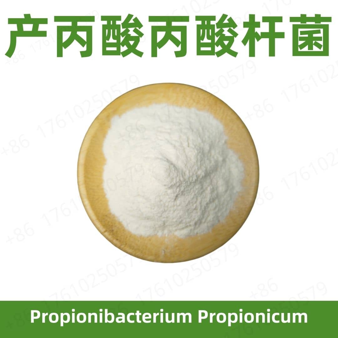 Propionibacterium propionicum