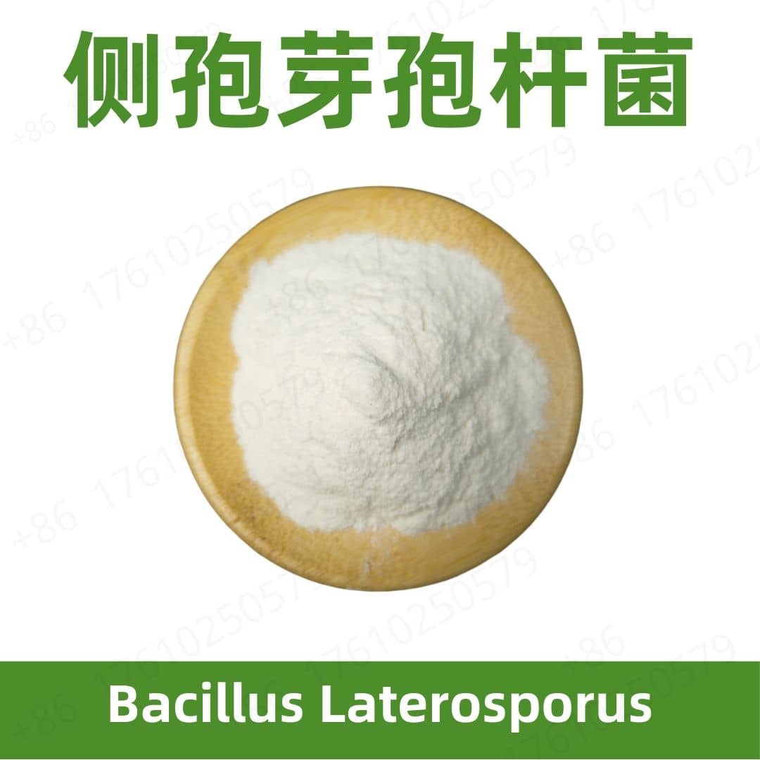 Bacillus Laterosporus