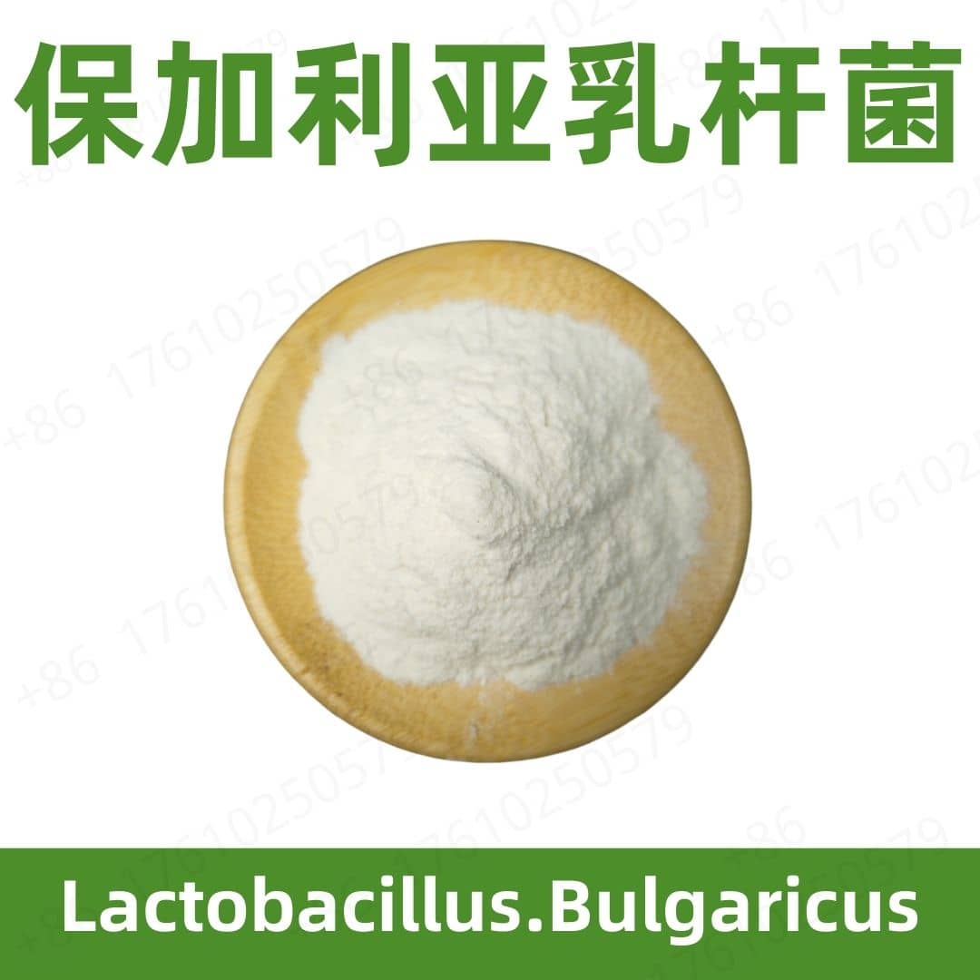 Lactobacillus bulgaricus
