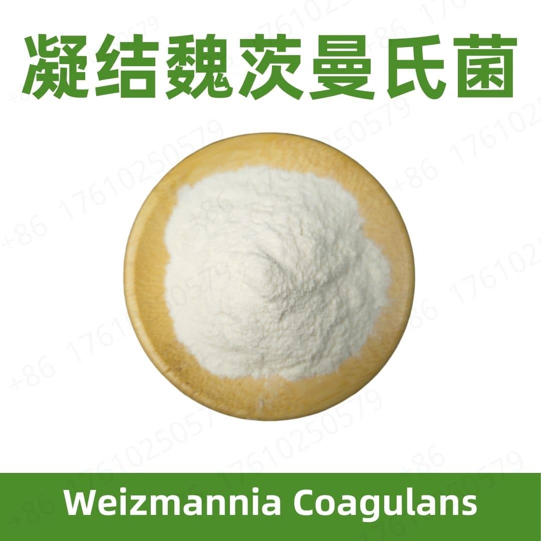 Weizmannia coagulans