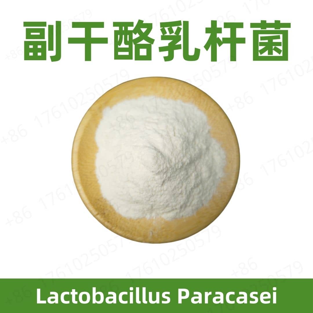 Lactobacillus paracasei