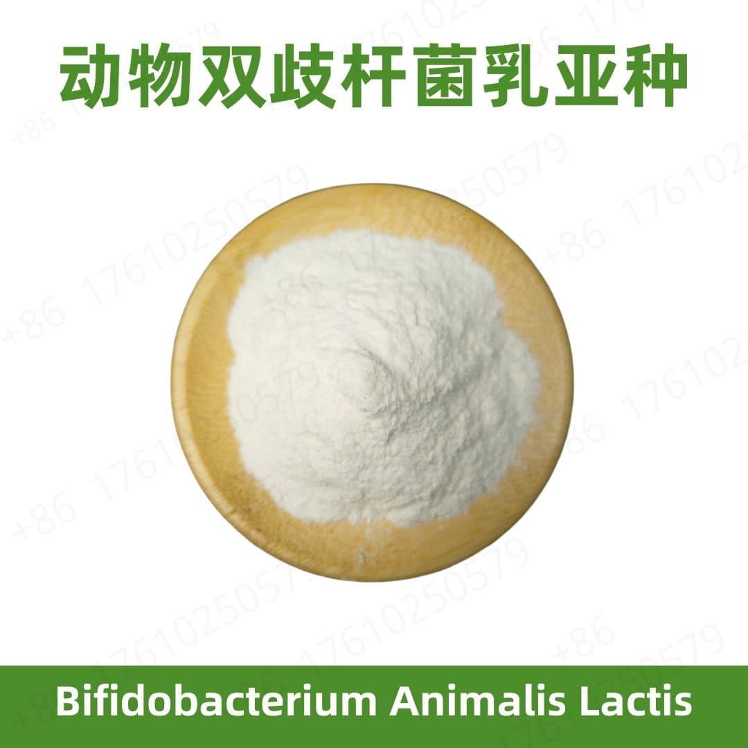Bifidobacterium animalis lactis