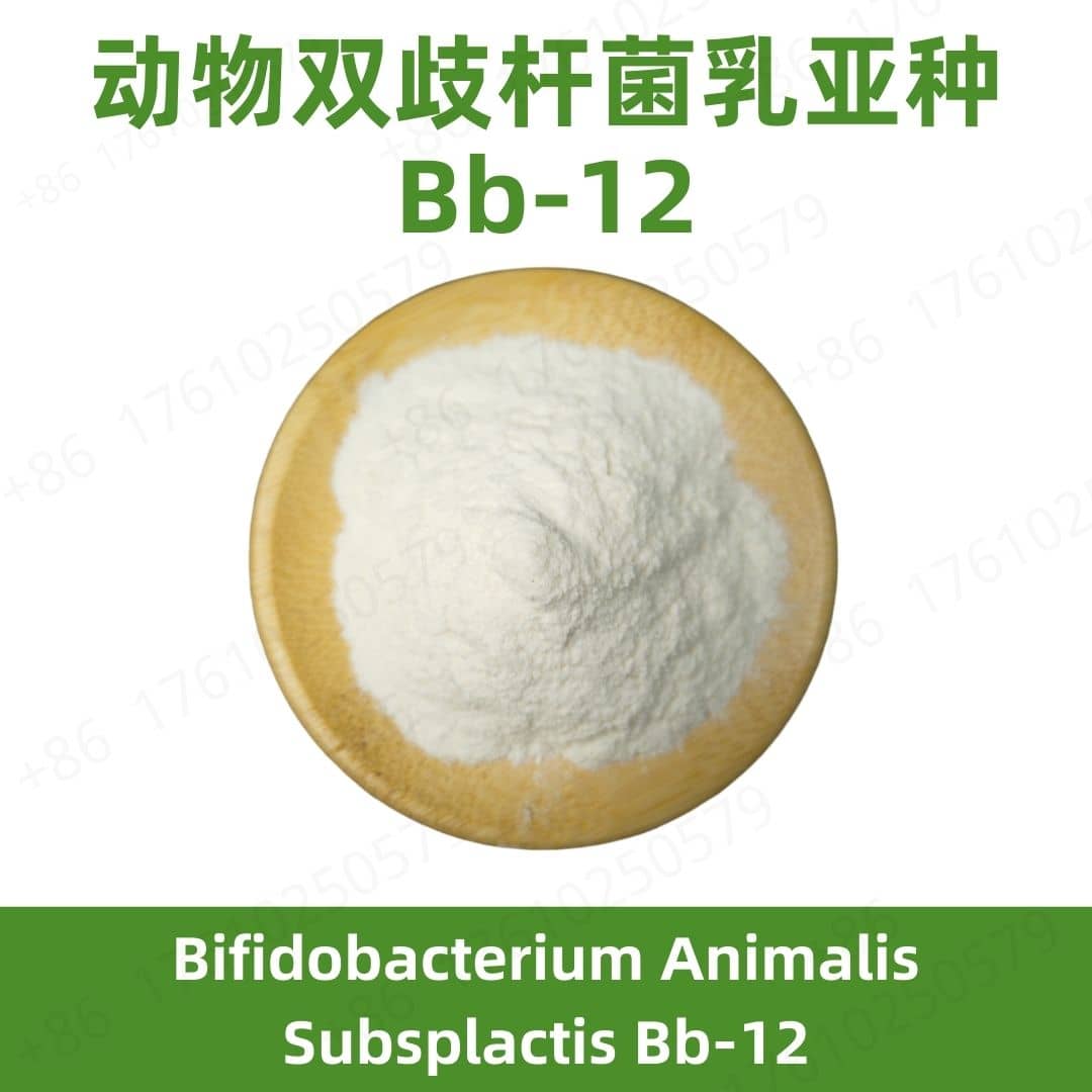 Bifidobacterium animalis subsp. lactis BB-12