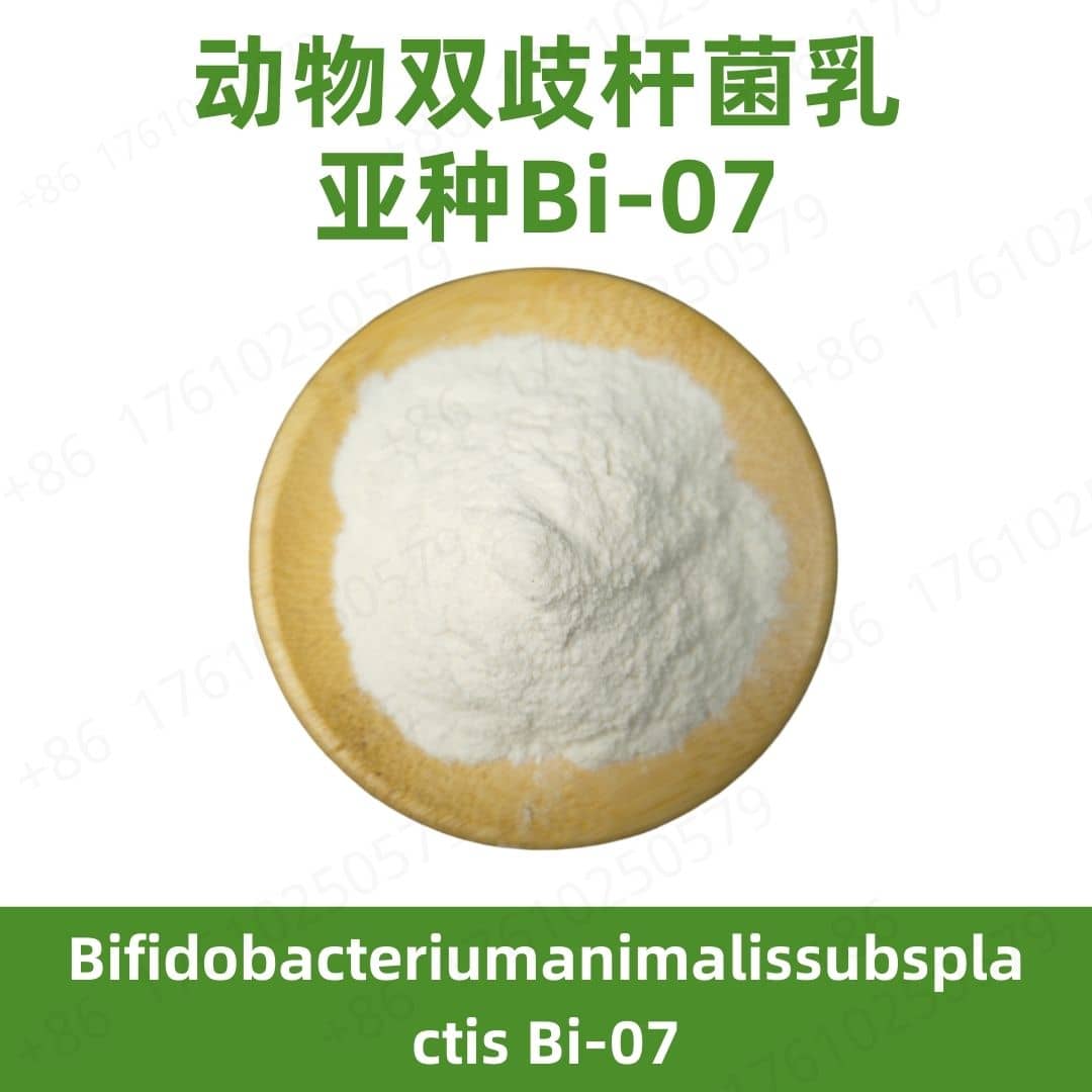 bifidobacterium animalis subsp. lactis BI-07