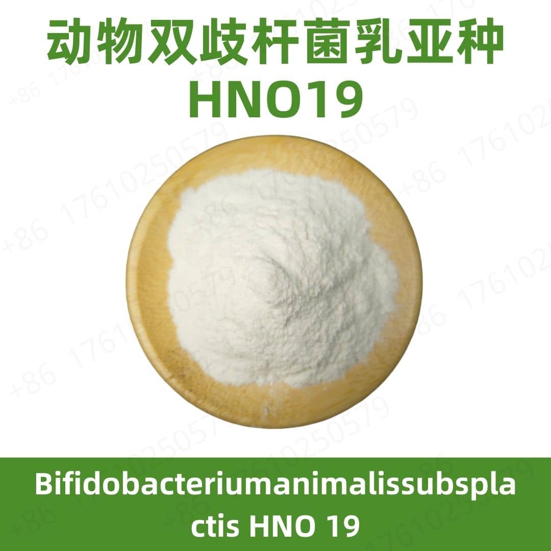 Bifidobacterium animalis subsp. lactis HNO19