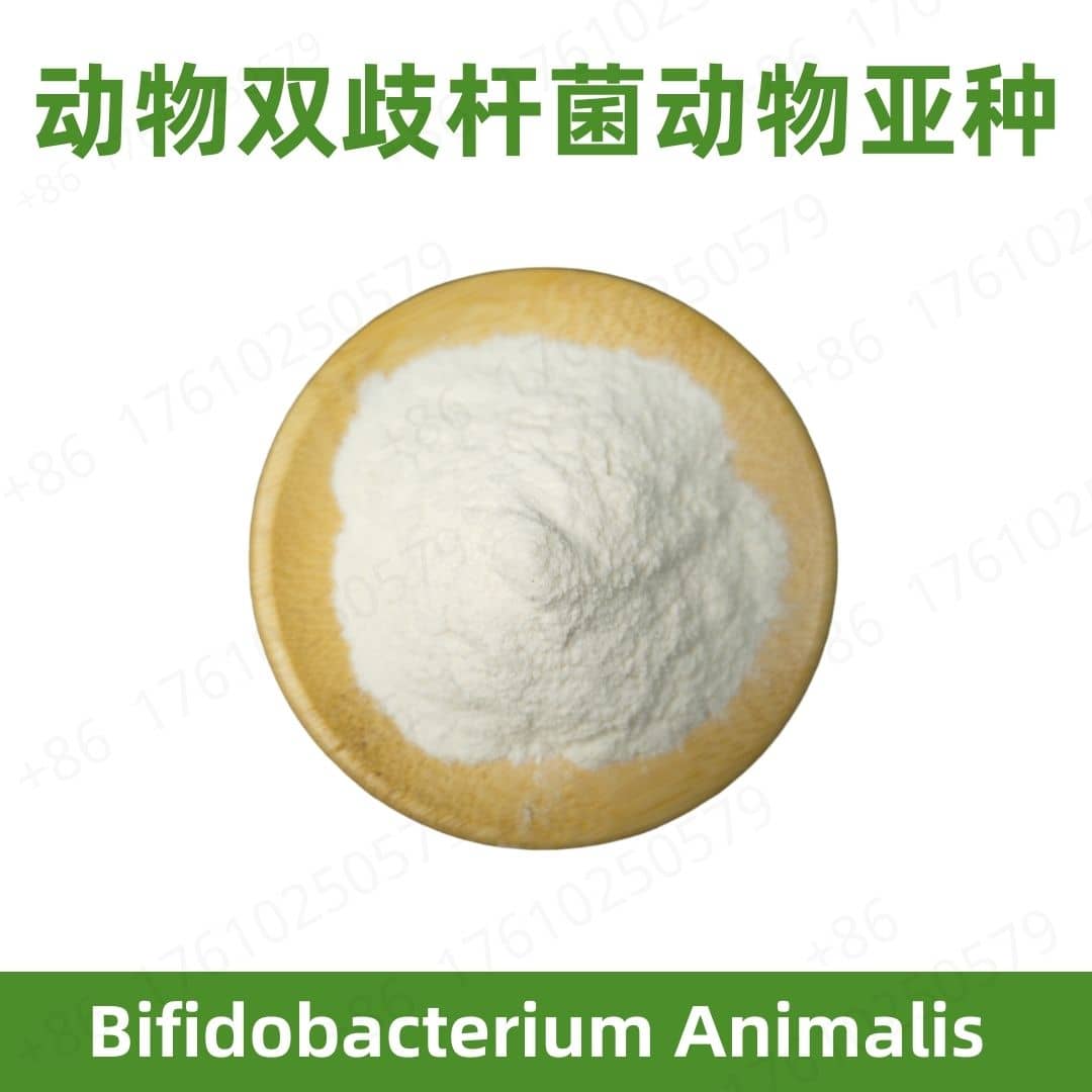 Bifidobacterium animalis animalis