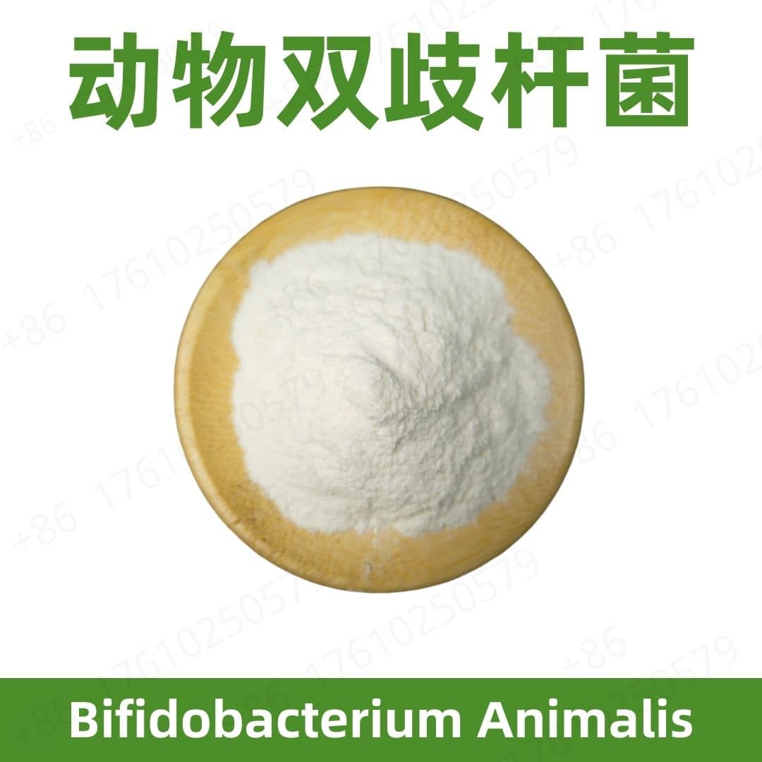Bifidobacterium animalis