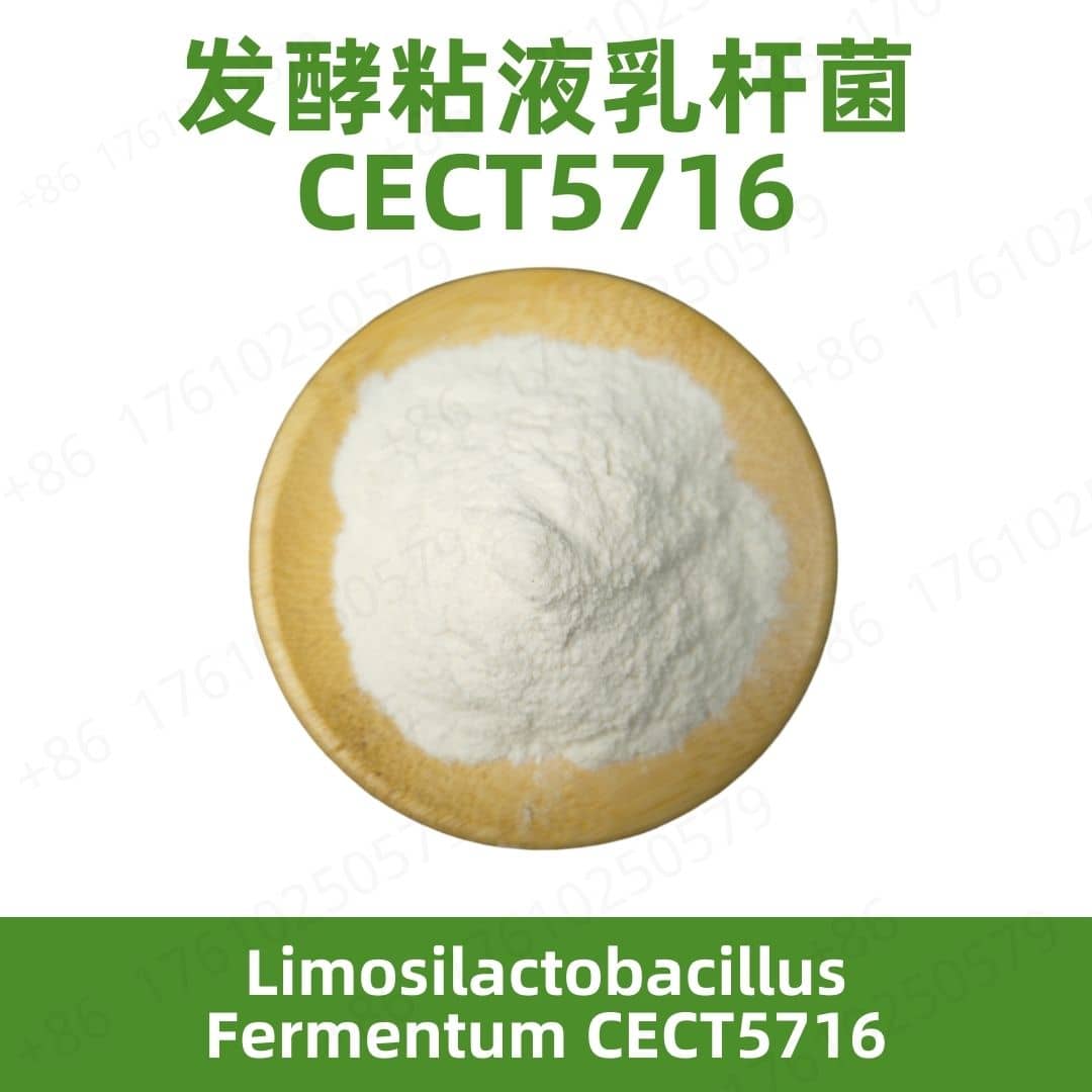 Limosilactobacillus fermentum CECT 5716