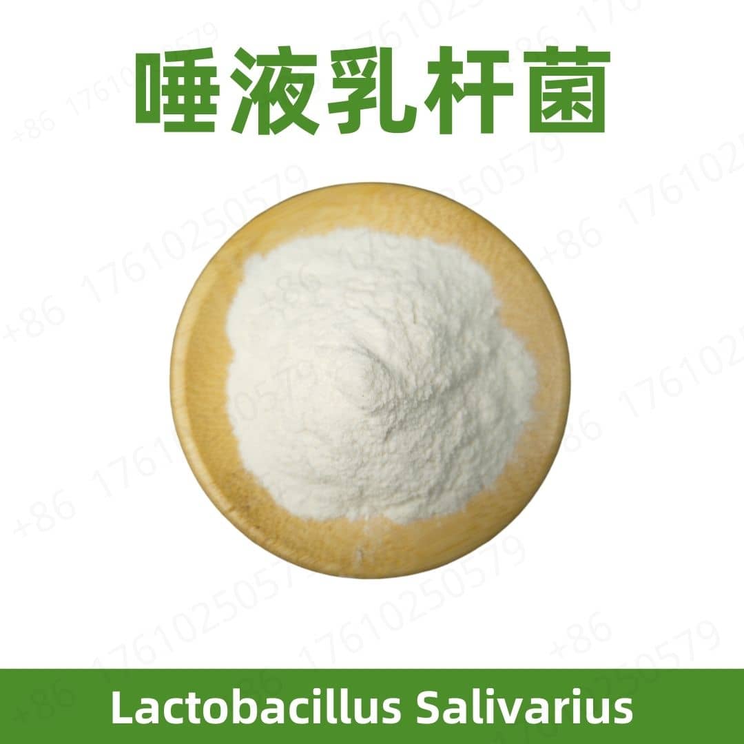 Lactobacillus Salivarius