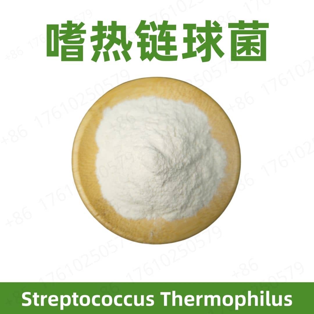 Streptococcus thermophilus