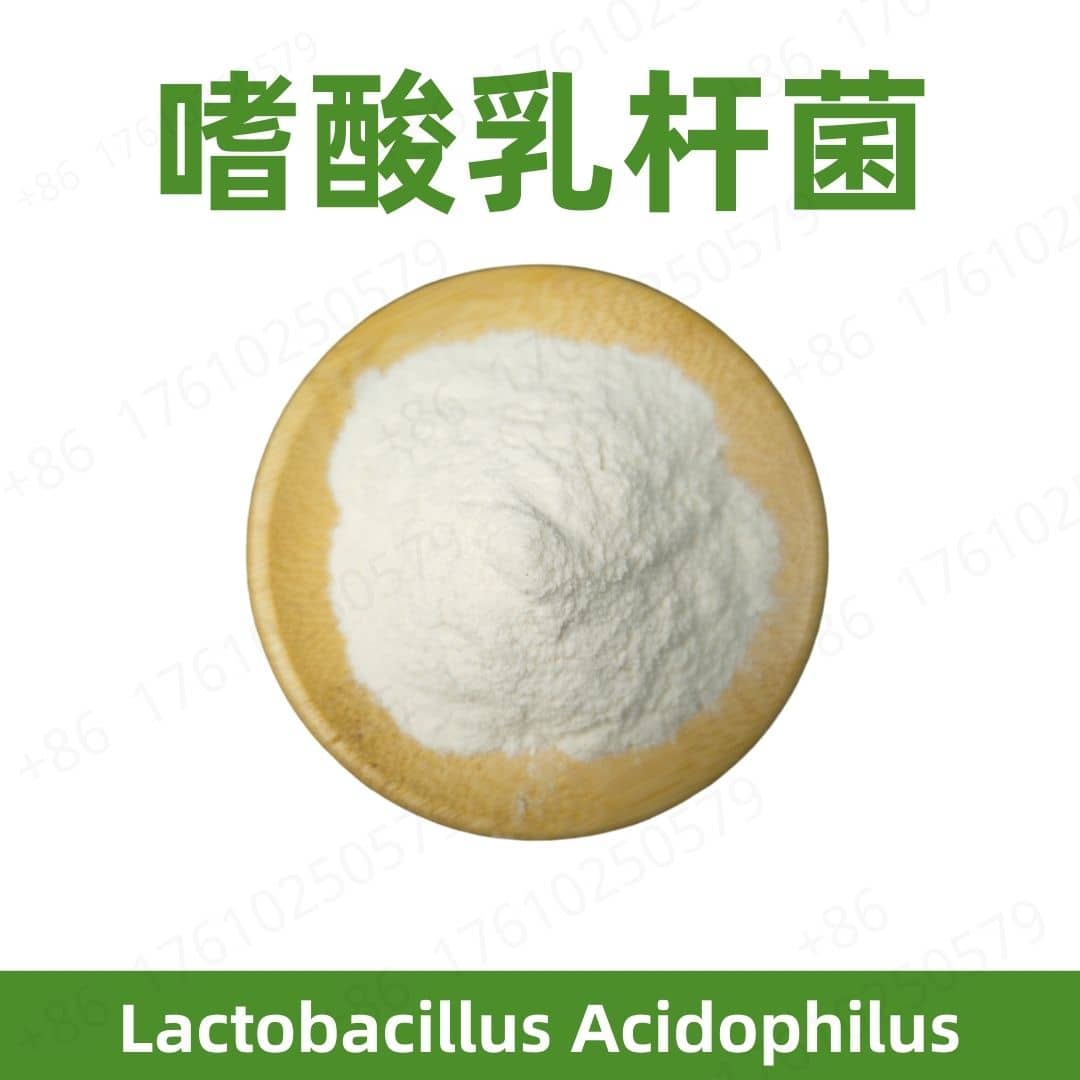 Lactobacillus Acidophilus