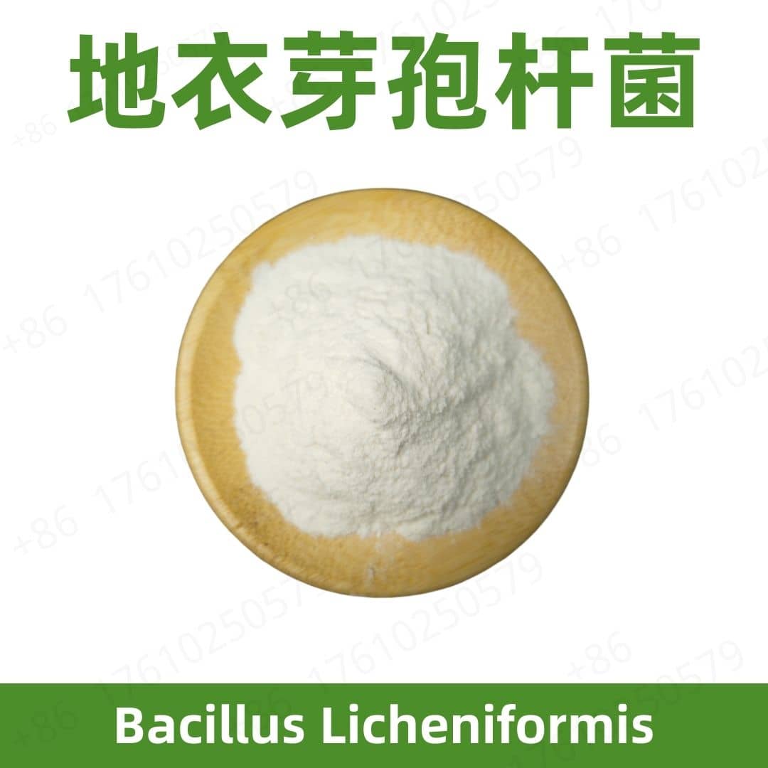 Bacillus Licheniformis