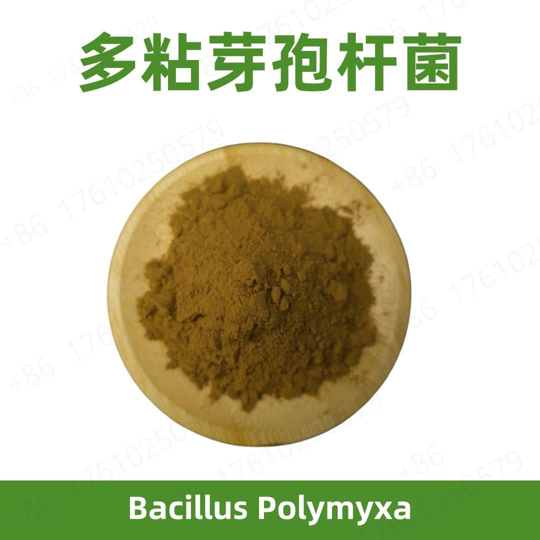 Bacillus polymyxa
