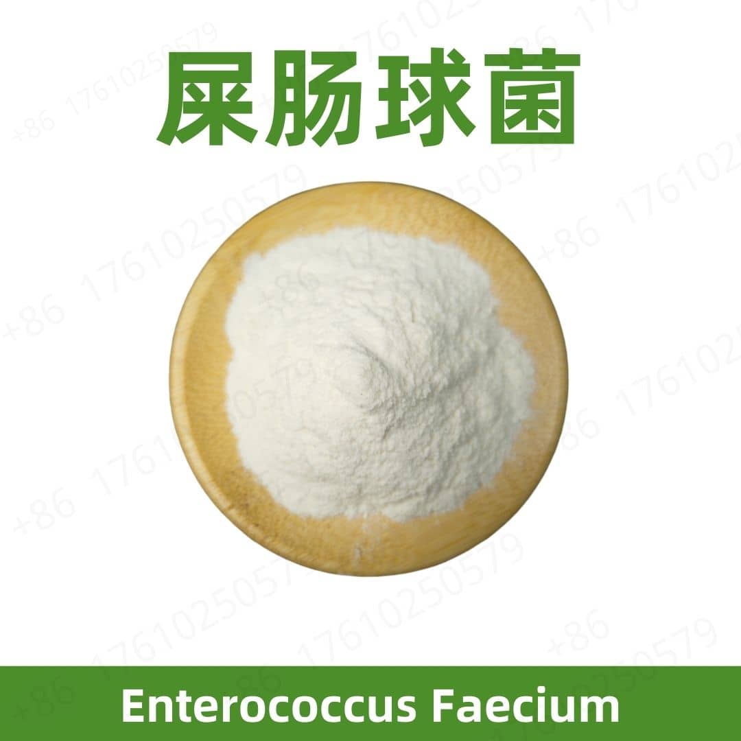 Enterococcus faecium