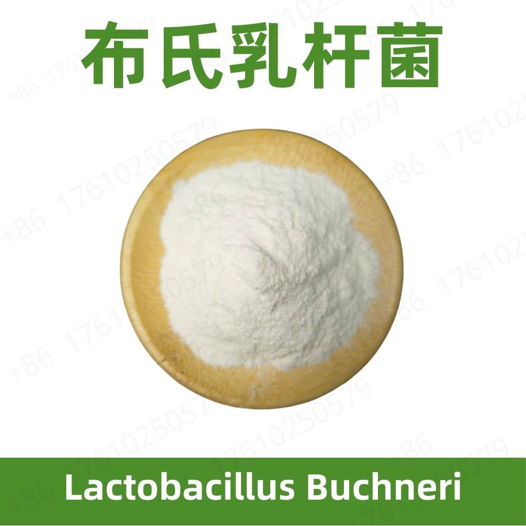 Lactobacillus buchneri