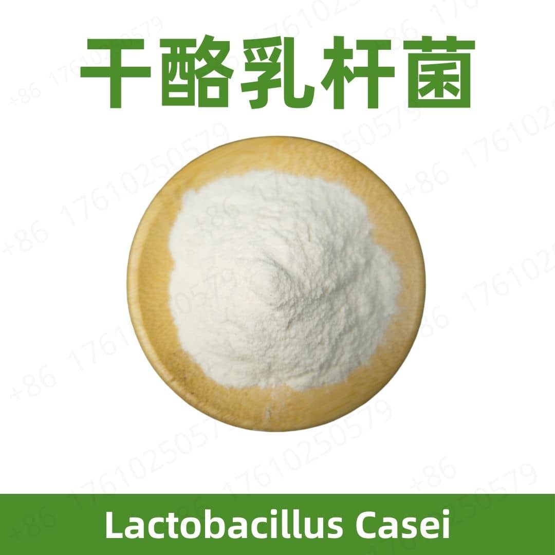 Lactobacillus Casei