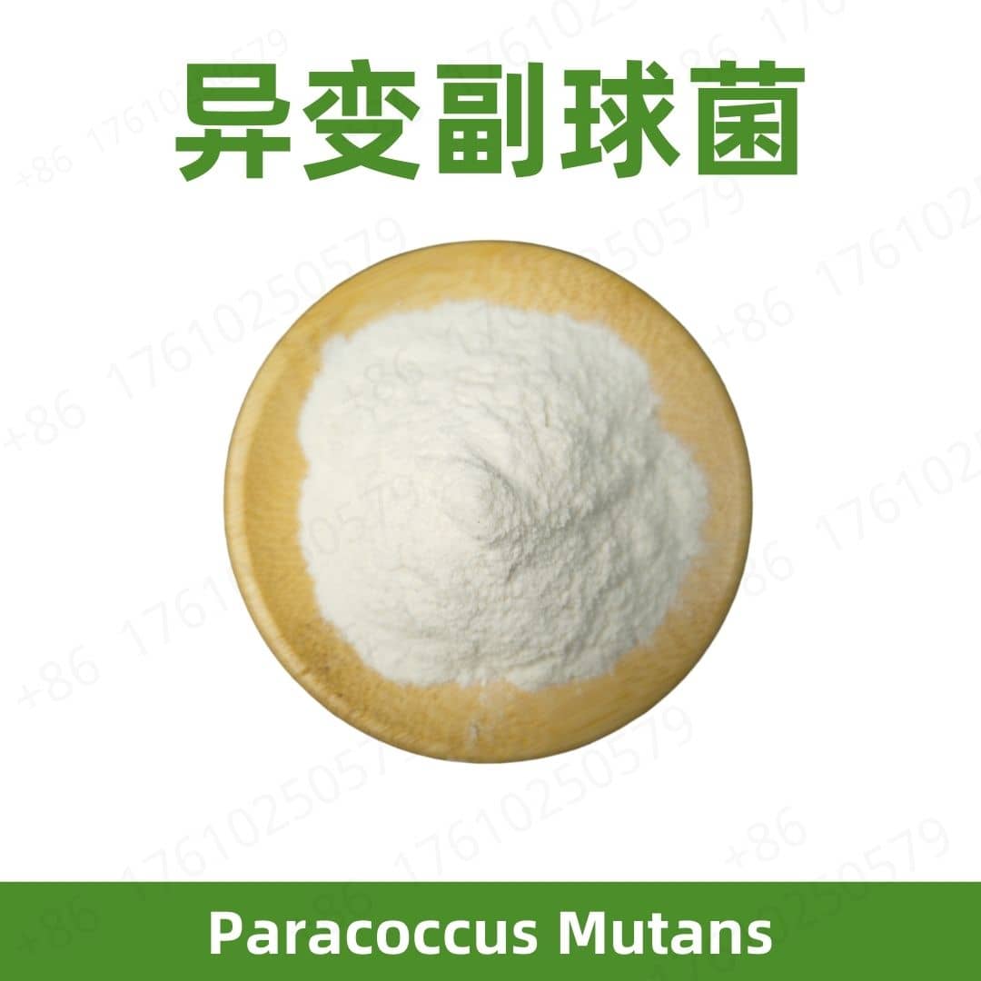 Paracoccus Mutans