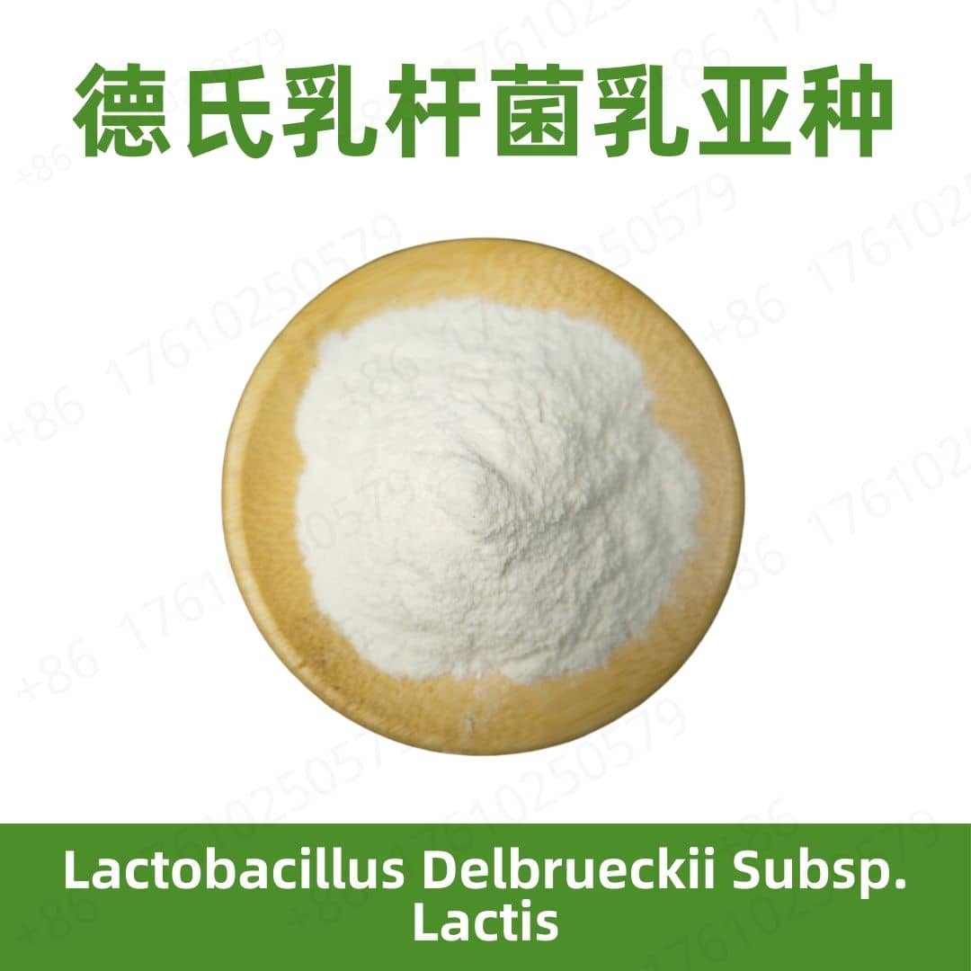 Lactobacillus delbrueckii subsp. lactis
