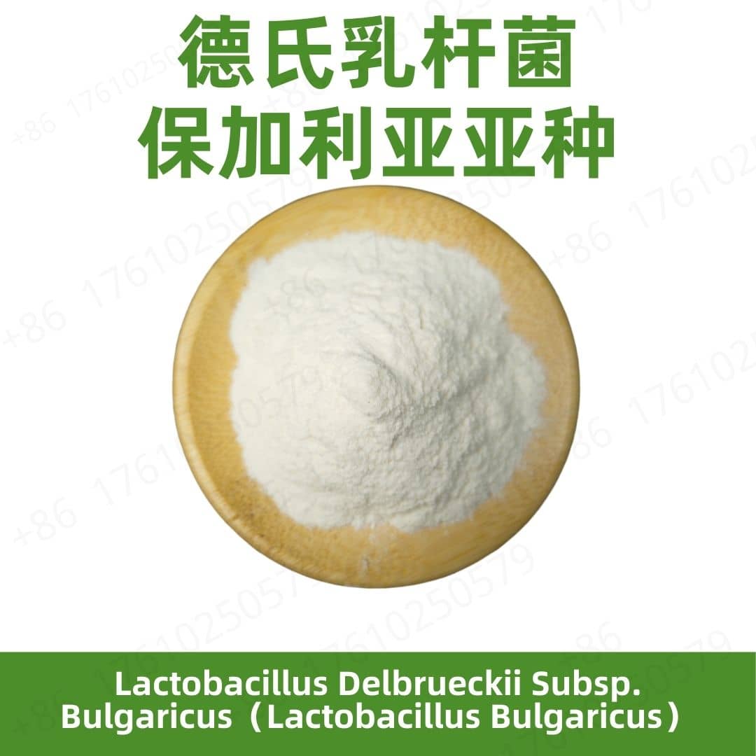 Lactobacillus delbrueckii subsp. bulgaricus