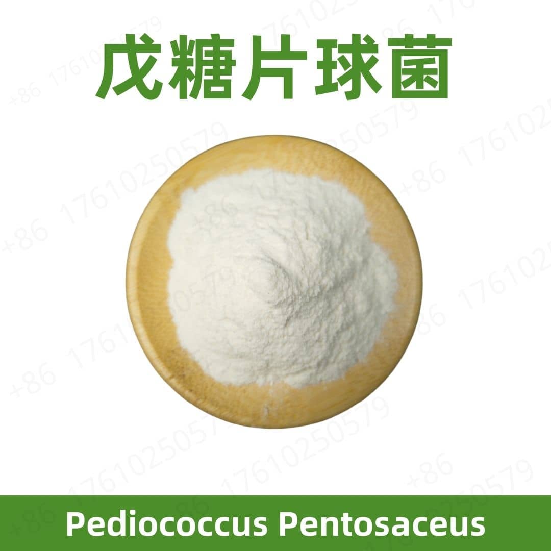 Pediococcus pentosaceus