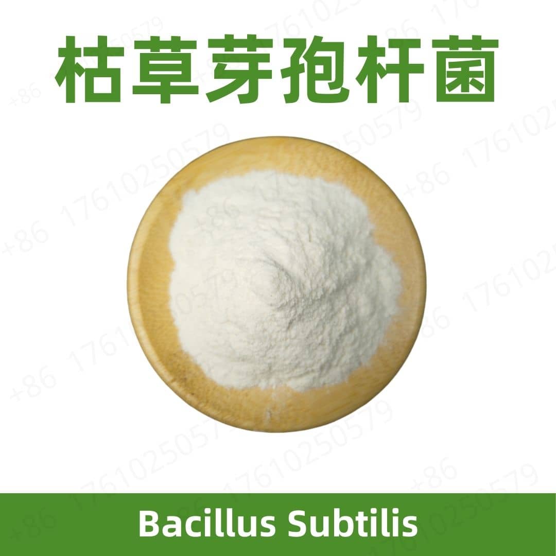 Bacillus subtilis