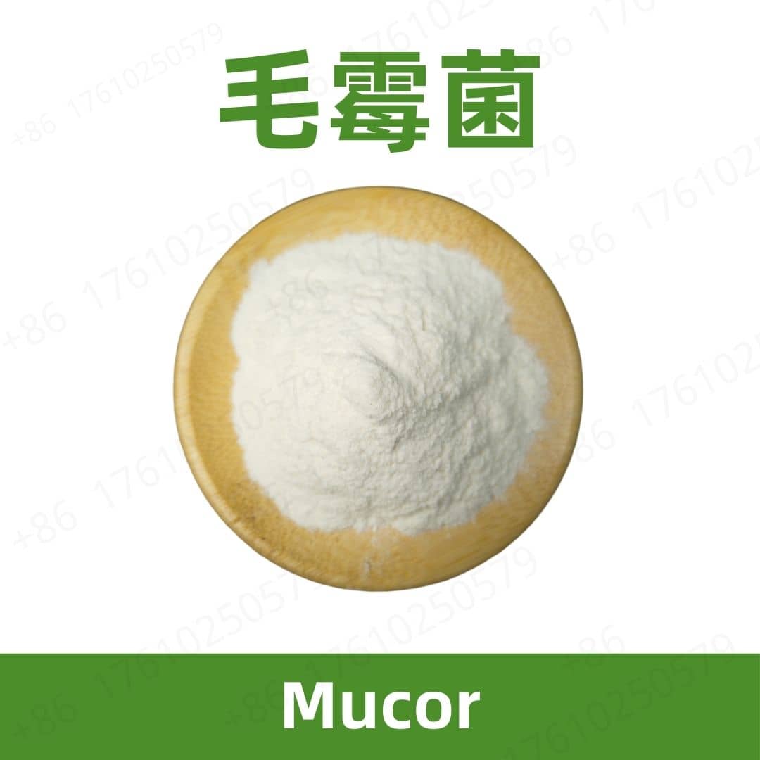 Mucor