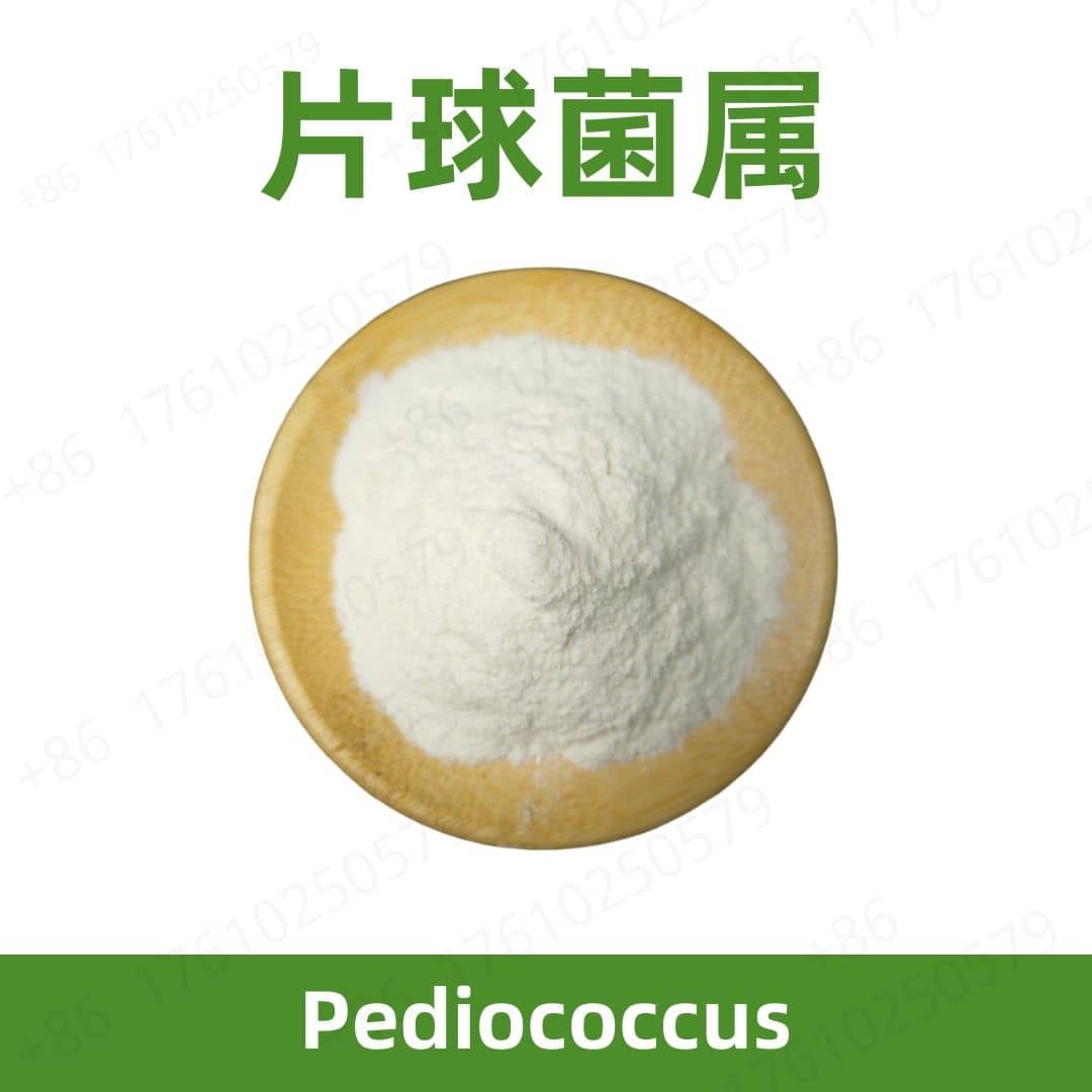 Pediococcus
