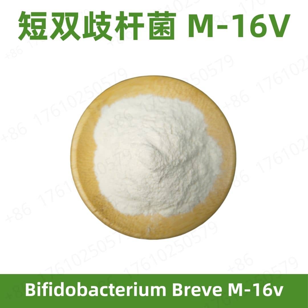 Bifidobacterium breve M-16V