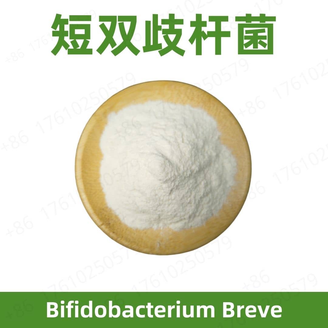 Bifidobacterium breve