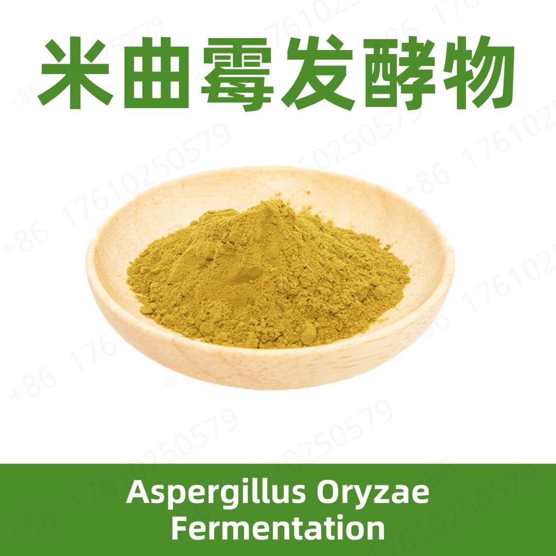Aspergillus Oryzae Fermentation