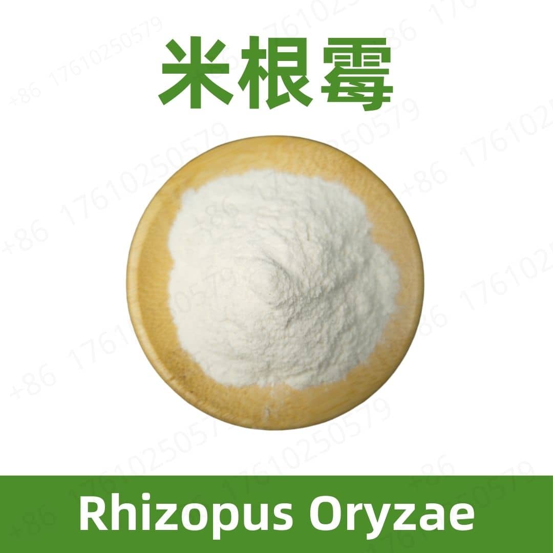 Rhizopus Oryzae